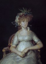 Goya, La Comtesse de Chinchon (détail moitié supérieure)