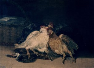 Goya, Oiseaux morts