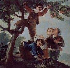 Goya, Enfants ceuillant des fruits