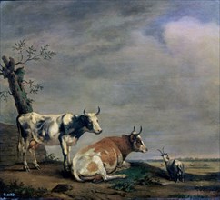 Paulus Potter, Two cows in a Meadow
