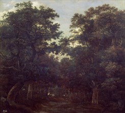 Van Ruysdael, The Forest