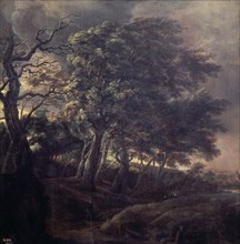 Ruysdael, Landscape