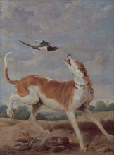 De Vos, The dog and the magpie