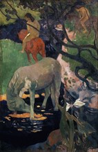Gauguin, The White Horse