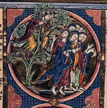 Bible de saint Louis - Zachée dans un arbre
