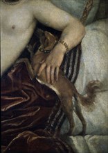 Titian, Venus entertaining herself with music - Detail of the little dog