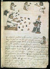 Tudela Codex: Aztec doctor