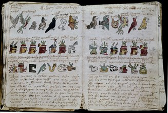 Codex Tudela - Calendrier de cérémonie avec dessins de divinités et fêtes indigènes