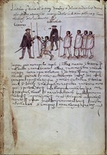 Puga, Osuna codex