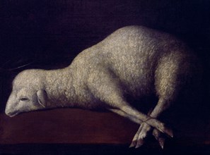Zurbaran, Lamb of God