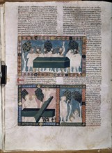 ALFONSO X EL SABIO 1221/84
HISTORIA GENERAL DE ALFONSO X-I-12.RESURRECCION Y APARICION A LAS