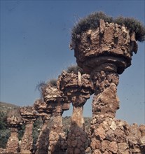 GAUDI ANTONI 1852-1926
VISTA
BARCELONA, PARQUE GÜELL
BARCELONA