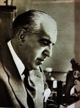 Gregorio Maranon dans son laboratoire, 1960