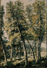 RIANCHO AGUSTIN 1841-1929
EL ROBLEDAL
SANTANDER, COLECCION PARTICULAR
CANTABRIA

This image is