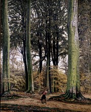 RIANCHO AGUSTIN 1841-1929
FLORESTA EN OTONO
SANTANDER, COLECCION PARTICULAR
CANTABRIA

This