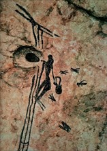 Rock painting discovered in the cueva de la Araña in Valencia
