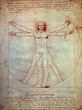 De Vinci, L'homme de Vitruve