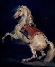 GERICAULT THEODORE 1791/1824
ETALON TAMERLAN-CABALLO DE NAPOLEON
RUAN, MUSEO BELLAS