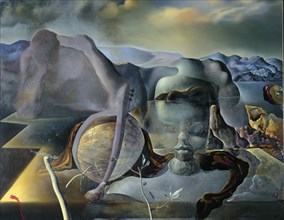 Dalí, The Endless Enigma