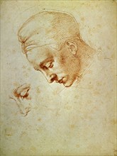 MIGUEL ANGEL 1475-1564
DIBUJO-ESTUDIO DE CABEZA
FLORENCIA, GALERIA DE LOS UFFIZI
ITALIA