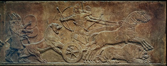 Assurbanipal chassant les lions