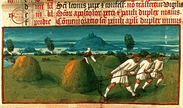 LIBRO DE HORAS DE 1430-LA SIEGA DE HENO-EDAD MEDIA-AL MODO DEL LIBRO HORAS DEL DUQUE DE