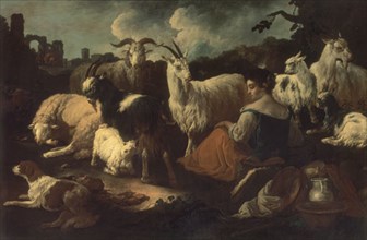 Roos, Une bergère avec des chèvres et des moutons