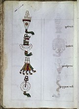 Sahagún, Florentine Codex