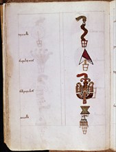 Sahagún, Codex Florentin