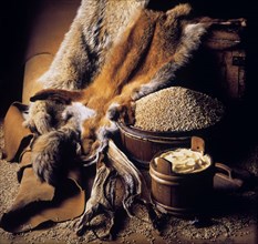 Goods owned by Vikings