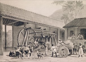 Deroi et Arnout, Le moulin à sucre
