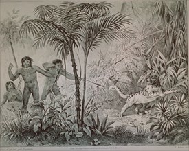 GRABADO-INDIGENAS CAZANDO UN TIGRE EN BRASIL - AMAZONAS
MADRID, COLECCION