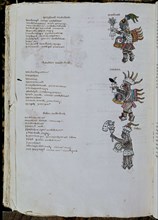 Codex Florentin (Codice matritensis)