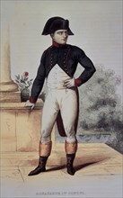 NAPOLEON BONAPARTE (1769-1821) CONSUL
PARIS, COLECCION PARTICULAR
FRANCIA