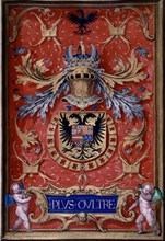 MANUSCRITO-LIBRO TOISON-EMBLEMA DE CARLOS I
MADRID, INSTITUTO VALENCIA DE DON JUAN
MADRID

This