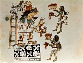 Codex Nuttall
Offrande de sang au dieu de a guerre et du soleil, Huitzilopochtli