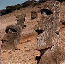 *COLOSOS
ISLA DE PASCUA, EXTERIOR
CHILE

This image is not downloadable. Contact us for the