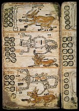 Page from the Madrid Codex
