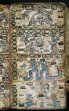 Page from the Madrid Codex