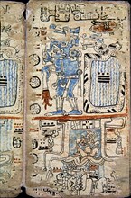 Page de codex Tro-Cortesianus : Les Dieux