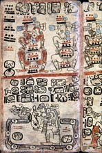 Facsimile
Page of the Tro-Cortesianus Codex