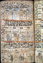 Fac-similé
Page du Codex Tro-Cortesianus