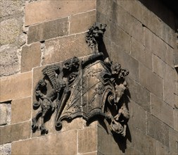 EXTERIOR-DET EMBLEMA HERALDICO EN ESQUINA DE LA TORRE
SALAMANCA, PALACIO DE