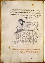 PICATRIX
MANUSC.947-FOL 40R-GAYAT AL-HAKIM-HOMBRE CABALGA SOBRE UN LEON-S XIV COPIA
SAN LORENZO