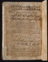 IBN ARQAM DE GUADIX
TRATADO SOBRE CABALLOS-N.902-HECHO PARA A.A.MUHAMMADNASR(REY NAZARI)-S