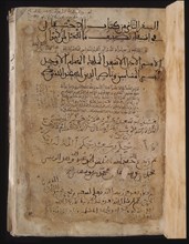 IBN ARQAM DE GUADIX
TRATADO SOBRE CABALLOS-N.902-HECHO PARA A.A.MUHAMMADNASR(REY NAZARI)-S