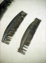 Viking combs