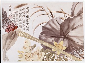 CHAO CHE-K'IEN
FLORES - (TINTA SOBRE PAPEL)-1829-1884
PEKIN, MUSEO DE PEKIN
CHINA