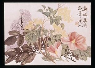 CHAO CHE KIEN
FLORES(TINTA NEGRA Y COLORES)-1829-1884
PEKIN, MUSEO DE PEKIN
CHINA