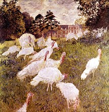 Monet, White Turkeys